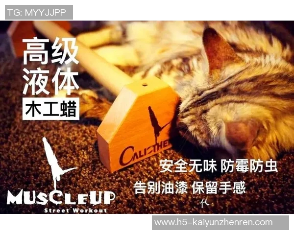 2026年3月份新闻从零起步掌握街舞技巧与力量训练的全面指南